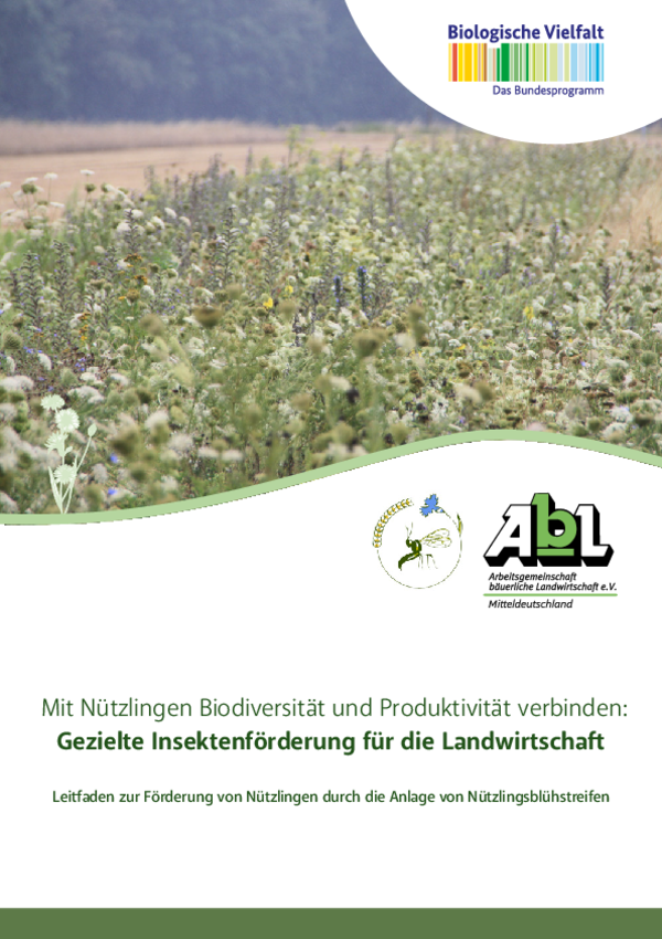 Gezielte Insektenförderung für die Landwirtschaft